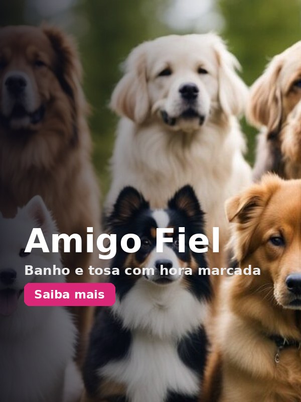 Amigo Fiel (noticia_detalhe_lateral)
