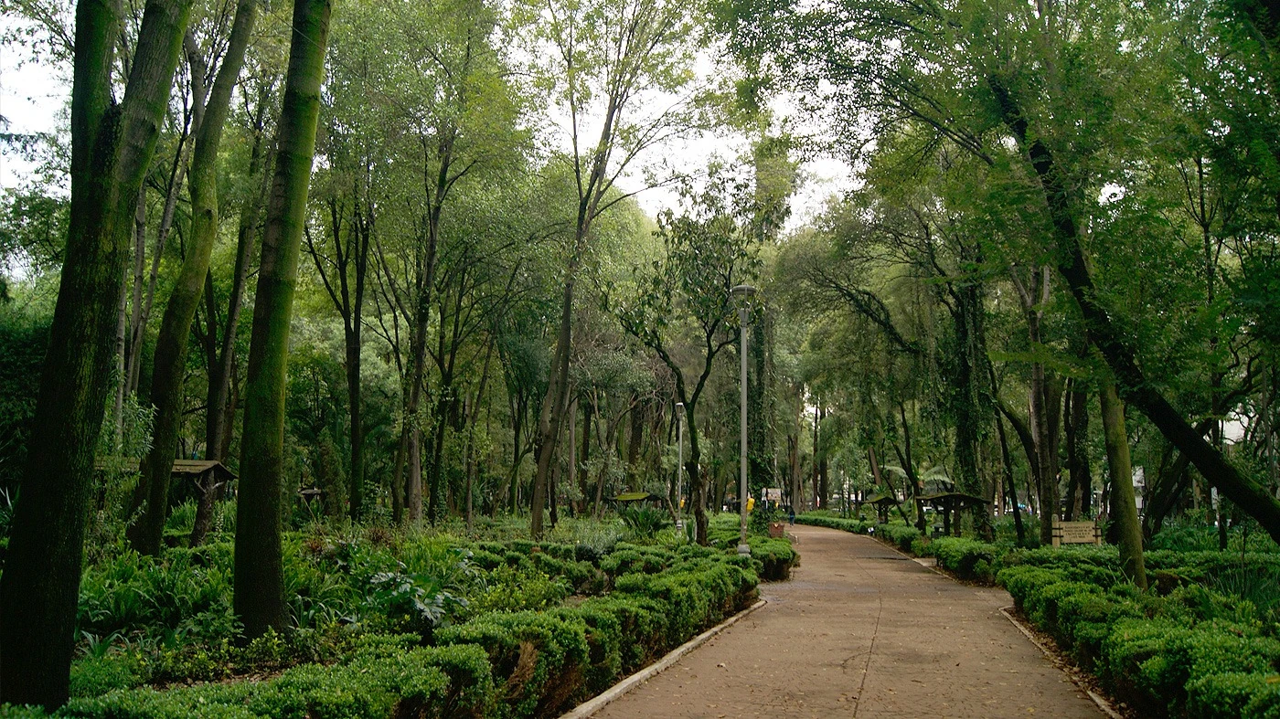 Parque Municipal Chico Mendes