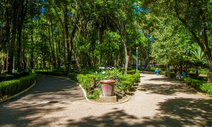 Parque Municipal Chico Mendes